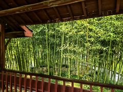 -南汇桃花村