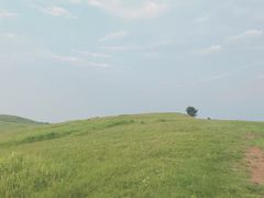 -恋山坝上草原