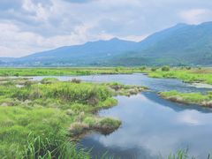 -腾冲北海湿地