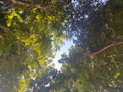 -光明招待所(邦凯科技园店)