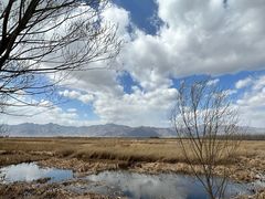 -野鸭湖国家湿地公园
