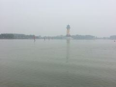 -溱湖国家湿地公园