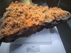 -湖南省地质博物馆