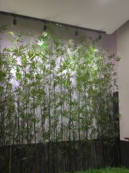 -凤绫儿亲子儿童摄影馆(天津店)