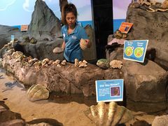 -悉尼海洋生物水族馆