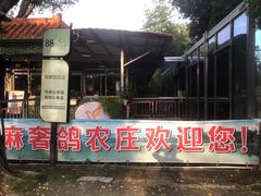 -麻奢鸽农庄·梦里水乡