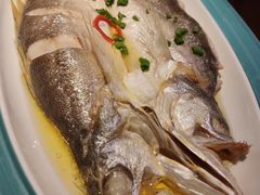 花雕醉黄鱼-寻宝记绍兴菜(鲁迅路店)