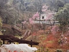 -滴水洞景区