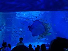 -常州海昌海洋探索馆