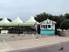 -蓝色港湾停车场