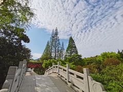 -白马涧龙池景区