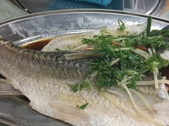 -南沙辉记烧鸡·荔枝木炭火吊烧(旧镇店)