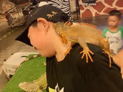 -清迈夜间动物园