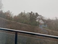 -苏州清山会议中心