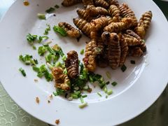 -华龙特色大骨鸡农家菜馆