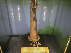 景点-信不信由你博物馆