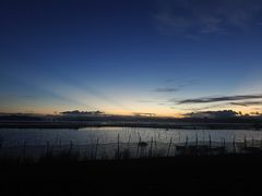 -漩门湾国家湿地公园