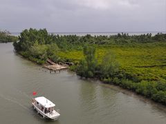 -东寨港红树林旅游区