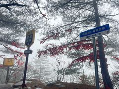 -罗田薄刀峰风景区