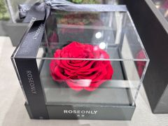 -ROSEONLY诺誓(沈阳万象城店)