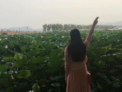 -杭州西湖风景名胜区北街寻梦停车场