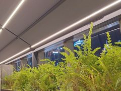 -柿合缘新京菜(国金中心商场店)