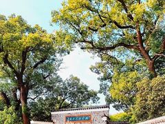 -八大山人梅湖景区