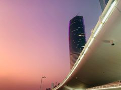 -演武大桥观景平台