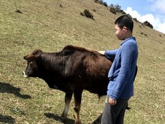 -大姆山草场