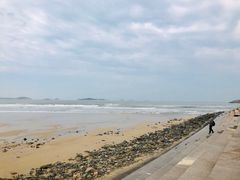 -长江澳风力发电景观区