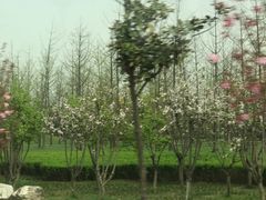 -洨河生态公园