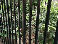 -湘邻呷铺·田园家宴(汉基广场店)