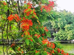 -东山湖公园