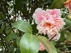 -千龙湖生态旅游度假区