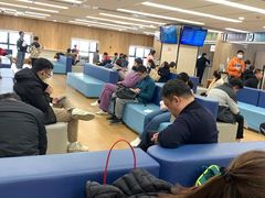 -浦东国际人才港