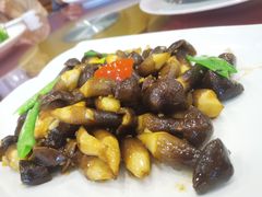 野生鸡枞菌-峰少印宴·私房菜·生猛海鲜·地道水乡菜(万江店)