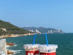 -南澳岛打卡果汁冰公司