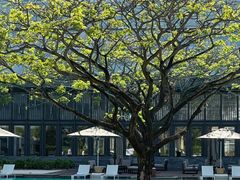 -三亚太阳湾柏悦酒店