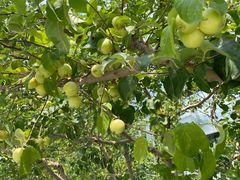 -防灾科技学院(南校区)