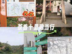 -十里琅珰
