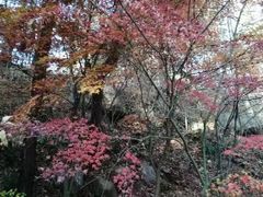 -崂山巨峰游览区