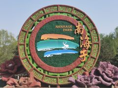 -南海子公园