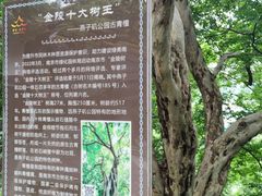 -幕燕滨江·燕子矶公园