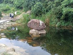 -梧桐山风景名胜区