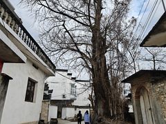 -西溪南古村落景区