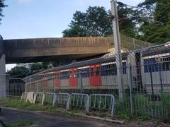 -大埔公路-马料水段香港中文大学(公交站)