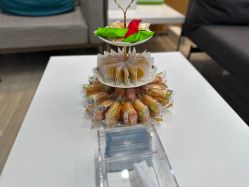 -雍禾植发全国连锁