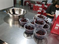 -福鼎褚翅