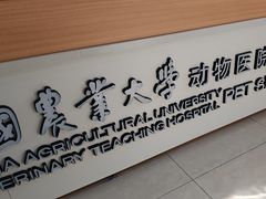 -中国农业大学动物医院