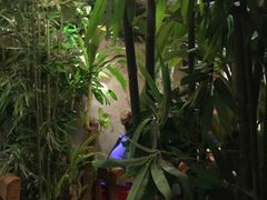 -万记麻辣烫国展总店